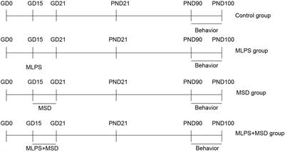 Subsequent maternal sleep deprivation aggravates neurobehavioral abnormalities, inflammation, and synaptic function in adult male mice exposed to prenatal inflammation